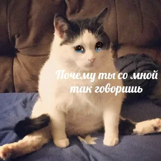 😭