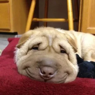 😀