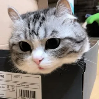 😰