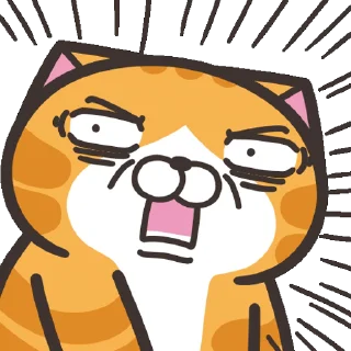 😾