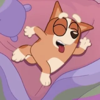 🛌