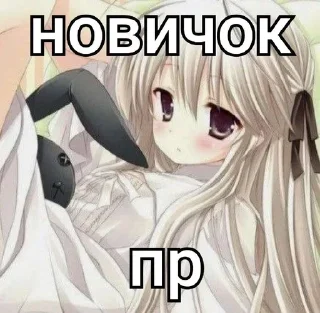 🙀
