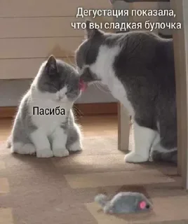 🫢