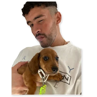 🐶