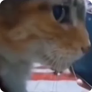 🤨