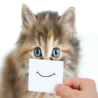 😊
