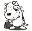 🐶