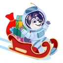 🛷