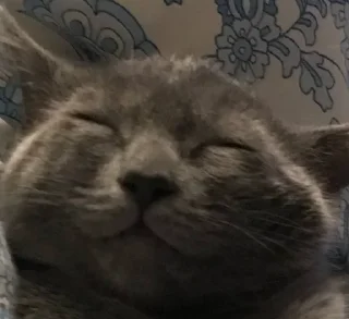 ☺️