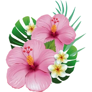 🌺