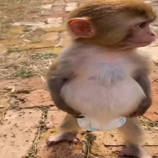 😐