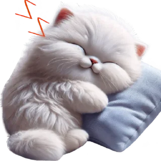 😴