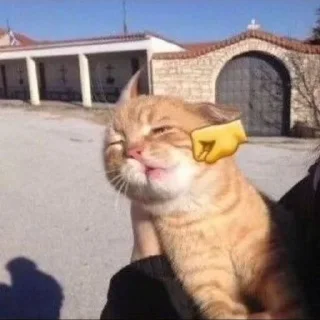 👊