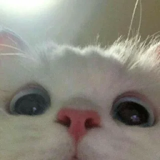 😴