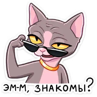 😎
