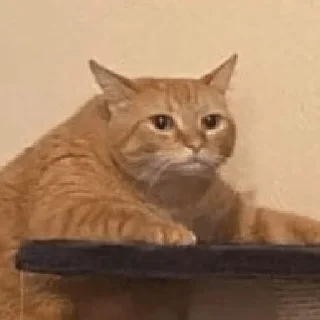 🫥