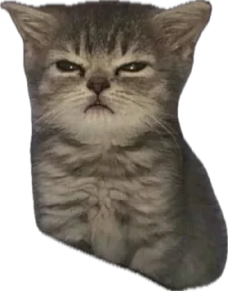 😴