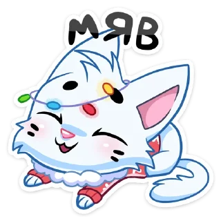 😽