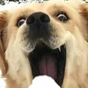 ☺