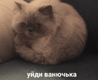 😠