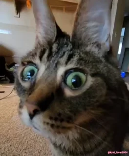 👀