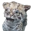 😮
