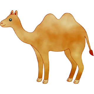 🐫
