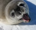 😃