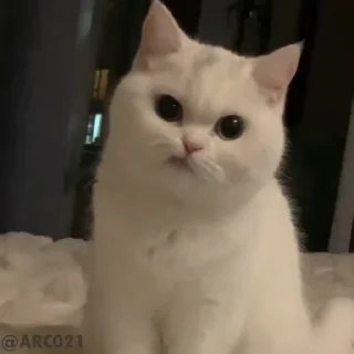 😕