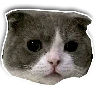😕