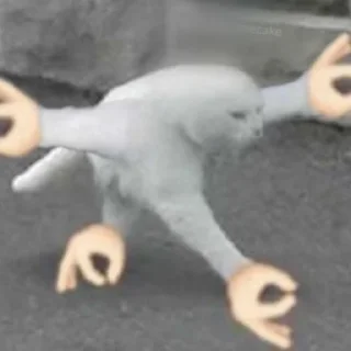 🐈