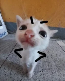 😠