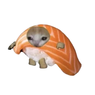 🍣