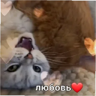 😄