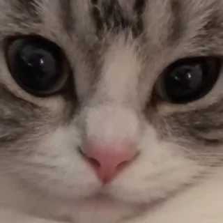 ☹️