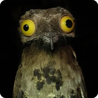 😦