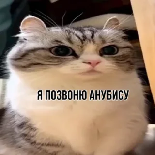 🤴