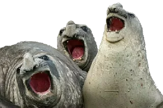 😂