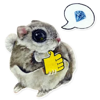 💎