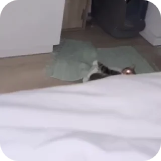 📥