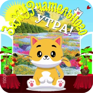 🐱