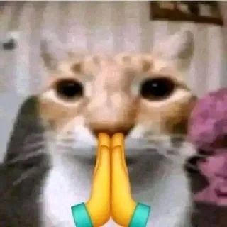 🙏