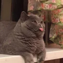 😝