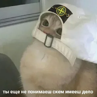 😾