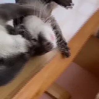 😘