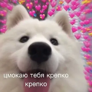 💋