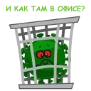 👩‍💻