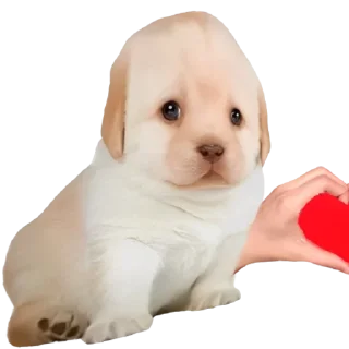 😍