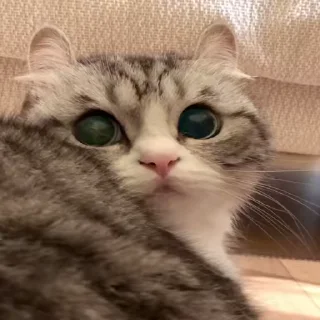 🤤