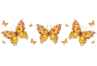 🦋